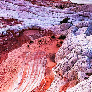 Meet your Posher, Gaminggirl24